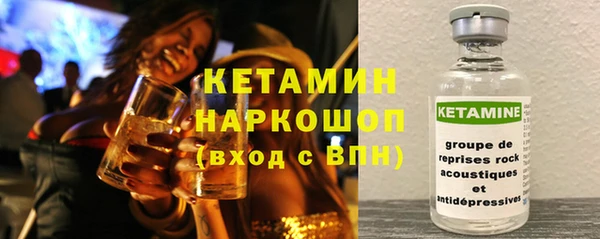 индика Абаза