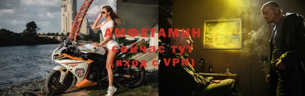 индика Абаза