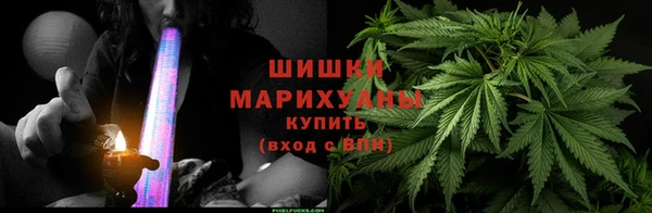индика Абаза