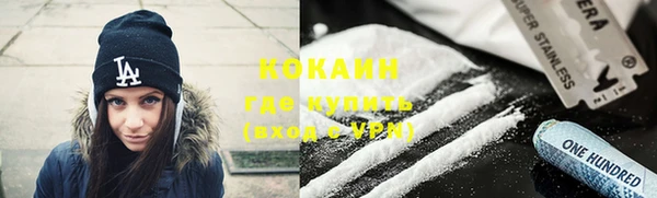 индика Абаза