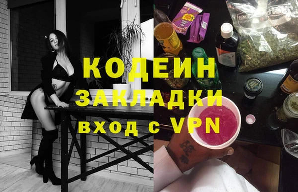 индика Абаза