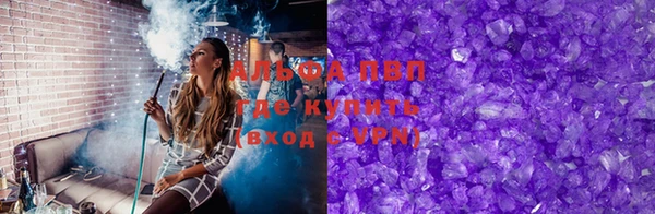 индика Абаза