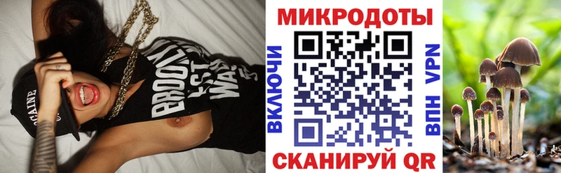 Псилоцибиновые грибы мицелий  наркошоп  Лодейное Поле 